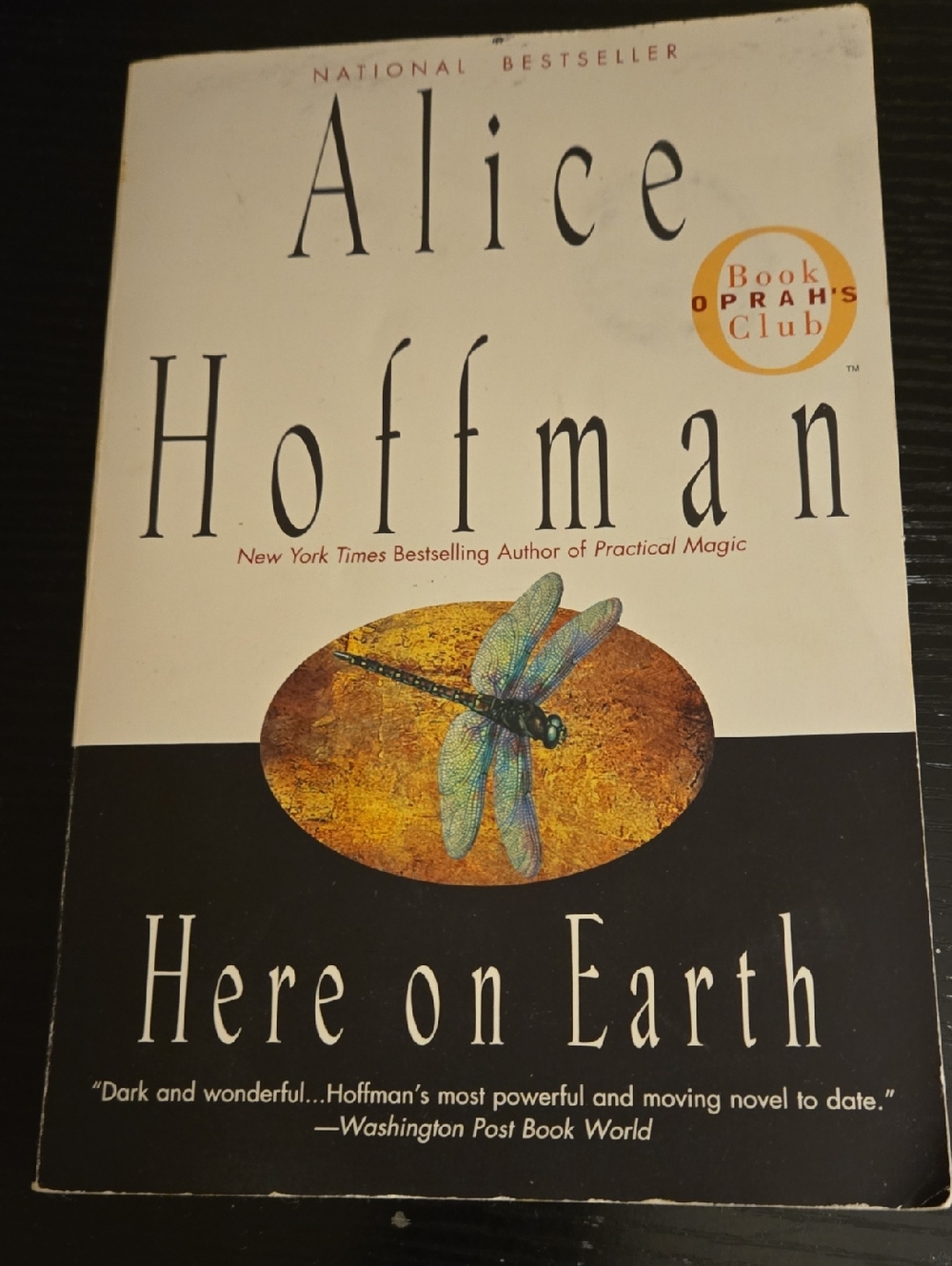 Alice Hoffman Here on Earth - Paperback Novel with Dragonfly Cover